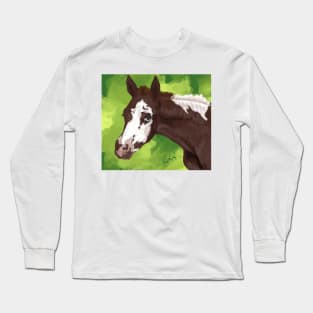 Pinto Foal Long Sleeve T-Shirt